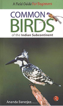 common-birds-of-the-indian-sub-continenet